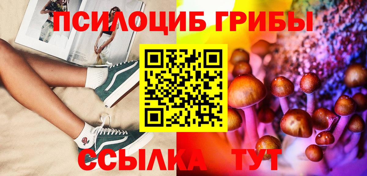 закладка  Галлюциногенные грибы Psilocybine cubensis  Вход с VPN  Кизилюрт  Псилоцибиновые грибы Magic Shrooms 
