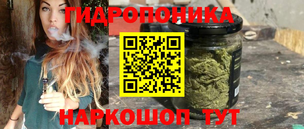 Каннабис OG Kush Кизилюрт